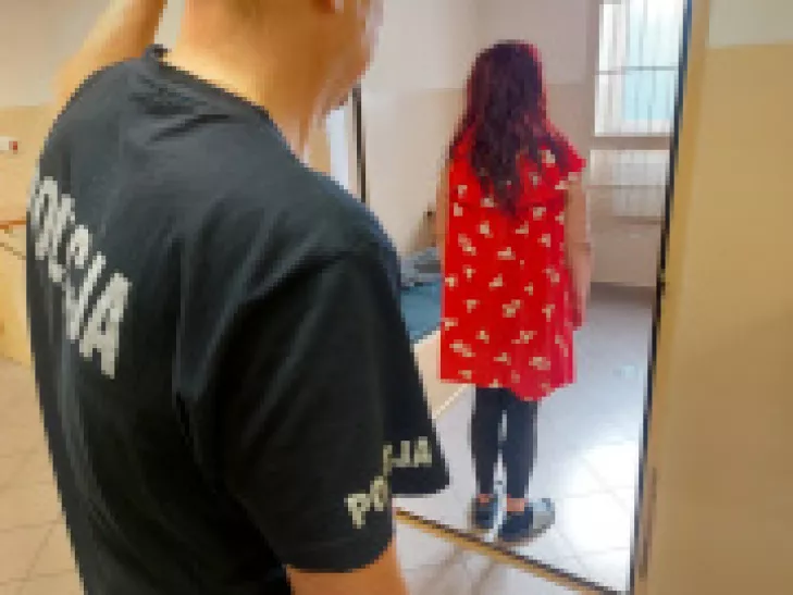 Seria włamań na konto i kradzież telefonu – zatrzymana do sprawy kobieta trafiła do aresztu